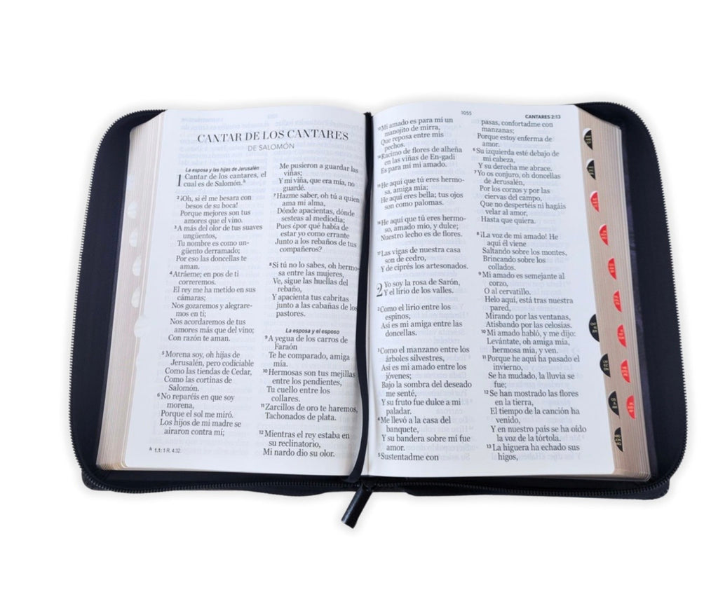 Biblia Letra Gigante 14pts Con Cierre/Index RV1960 Léon De Judá