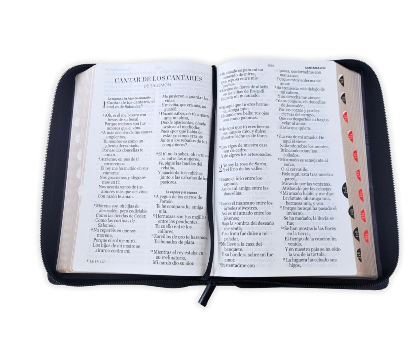 Biblia Letra Gigante 14pts Con Cierre/Index RV1960 Léon De Judá