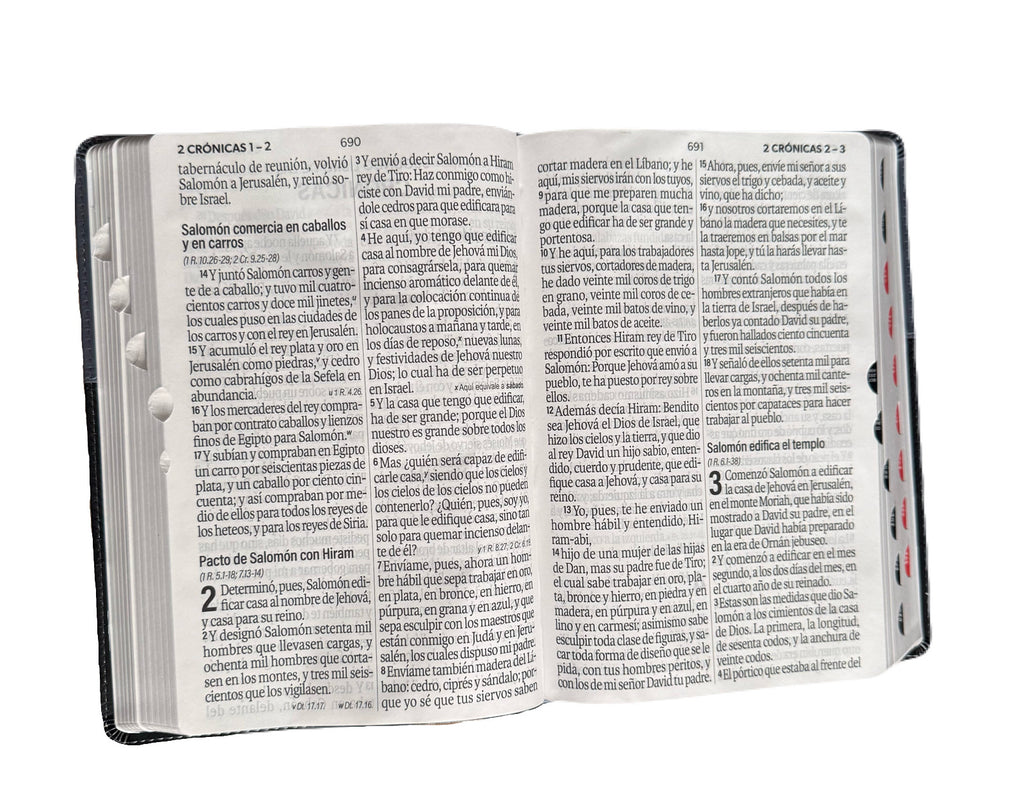 Biblia Letra Súper Gigante 19pts Con Index
