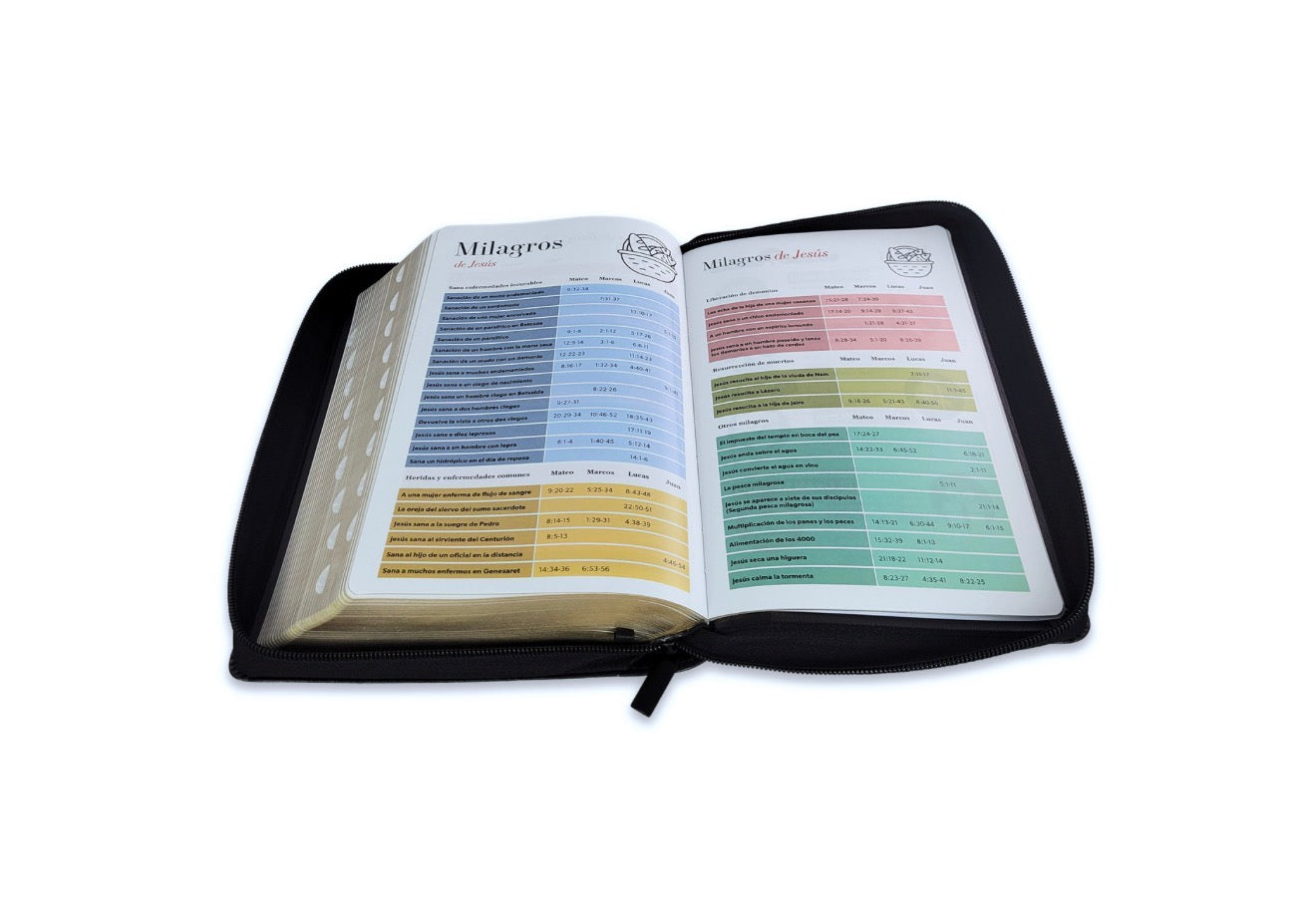 Biblia con Cierre Letra Gigante Manual 14 puntos RV1960 imit piel león y cordero negro con índice