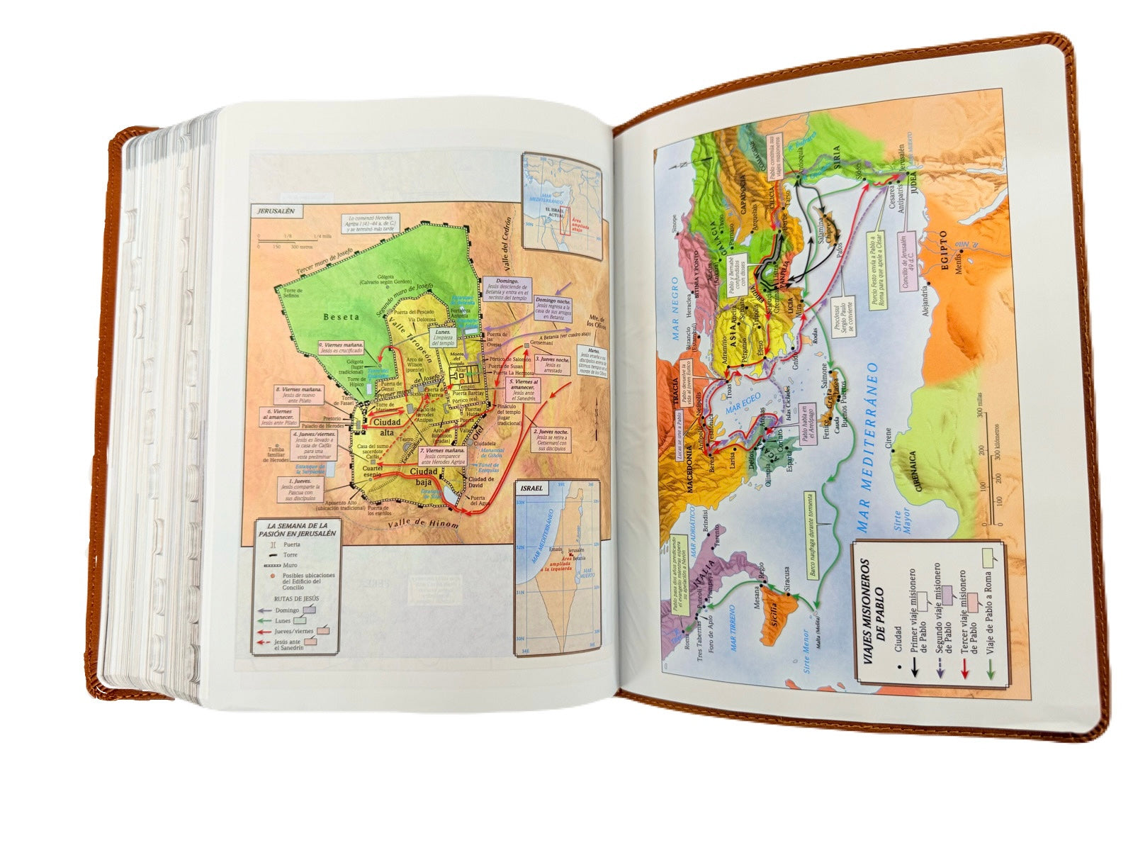 Biblia Ilustrada De La Tierra Santa RV1960