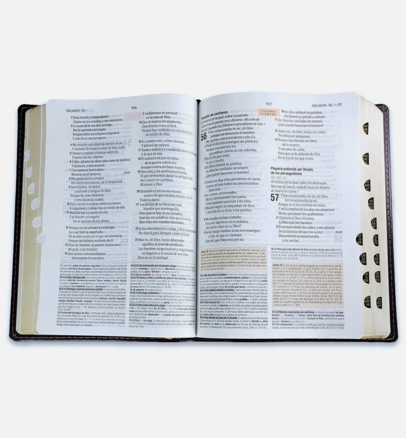 Biblia De Estudio Teológico Negro con Índice RV 1960