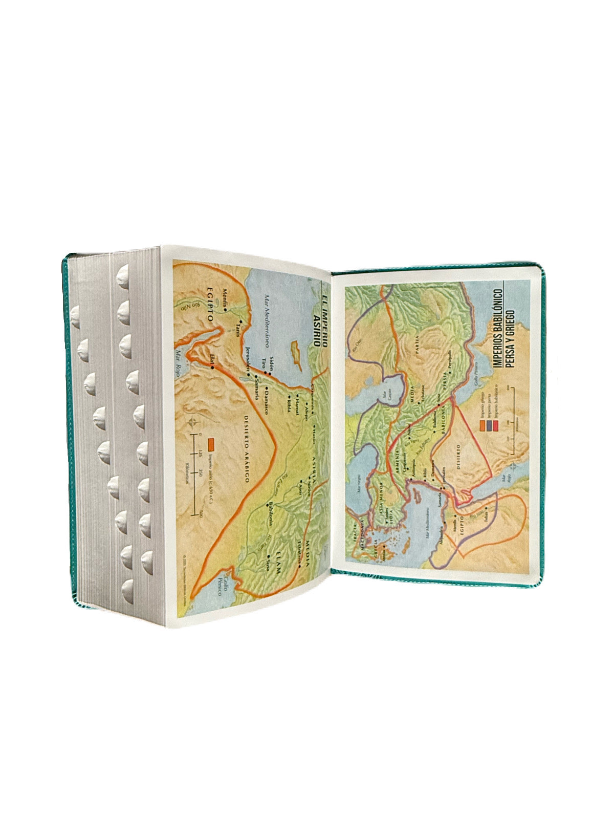 Biblia Letra Súper Gigante 19Pts Con Index Turquesa Floral RV1960