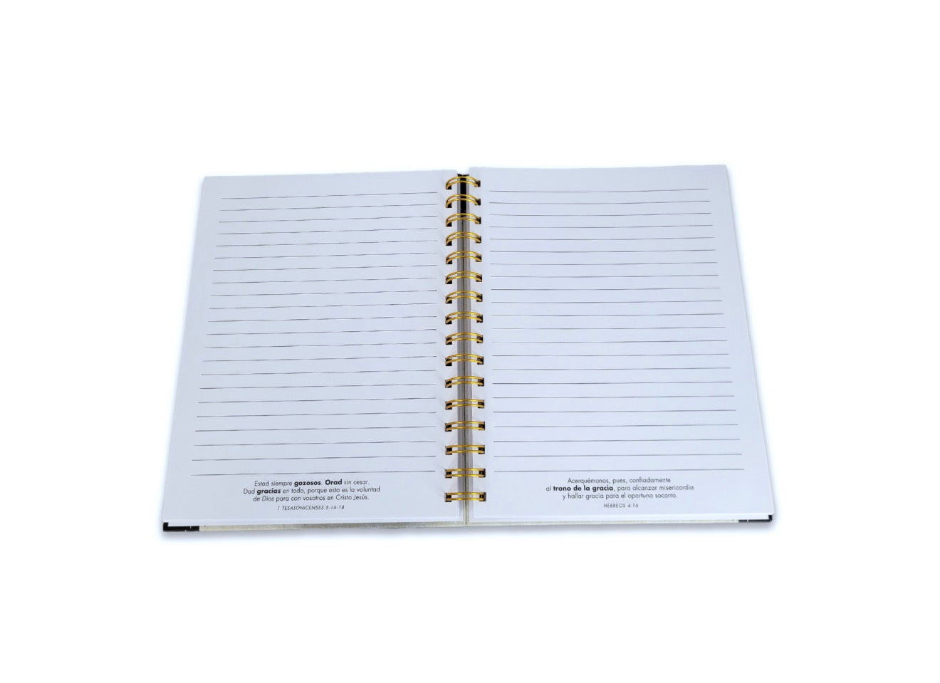 Libreta Espiral con Elástico: El león de la tribu de Judá - Apocalipsis 5:5, tapa dura