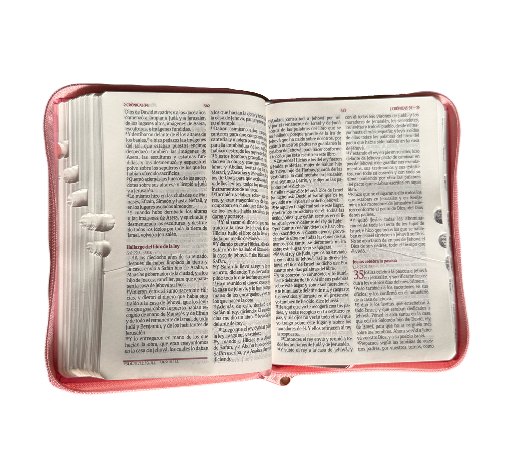 Santa Biblia Quinceañera