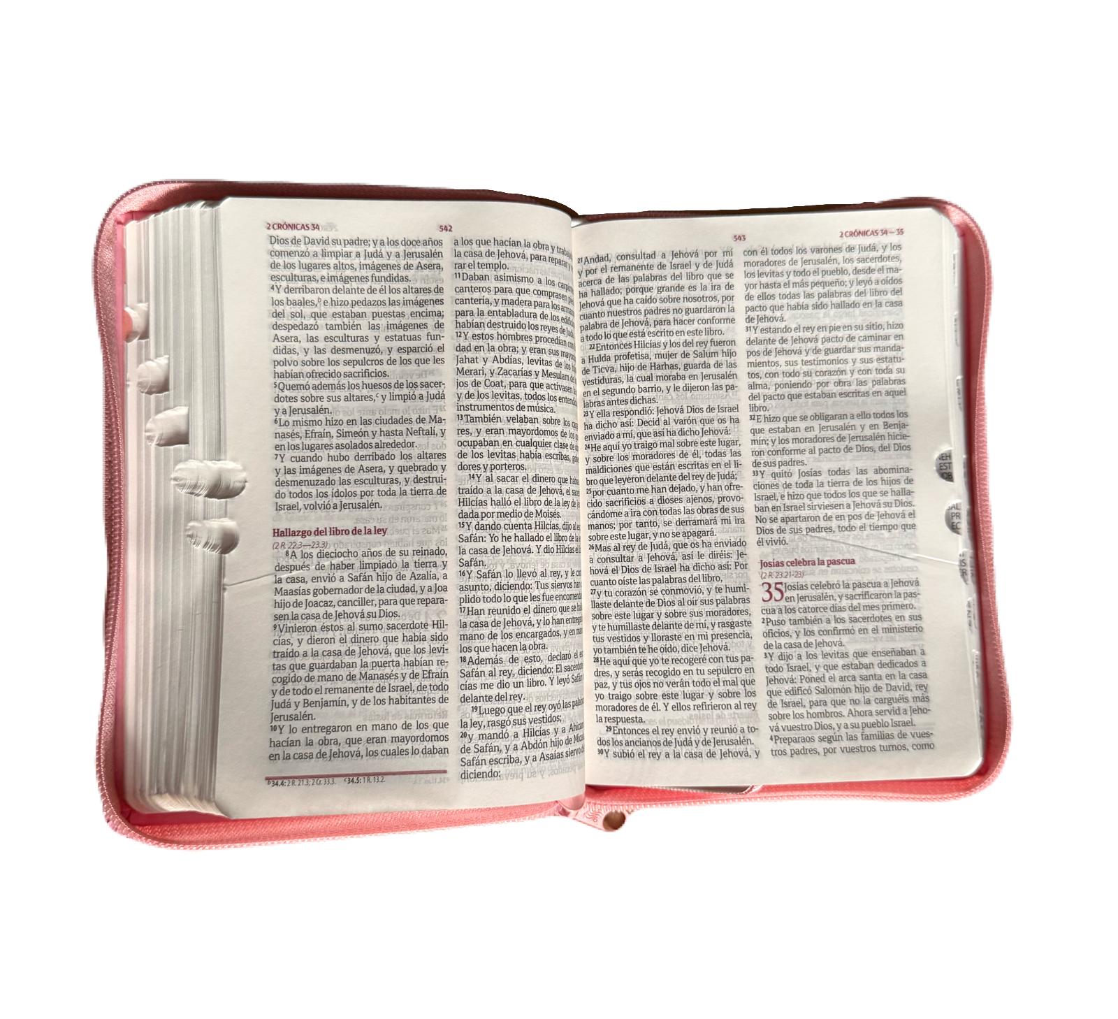 Santa Biblia Quinceañera